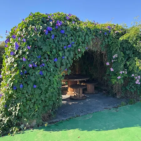 Casa Mercedes 펜션 *