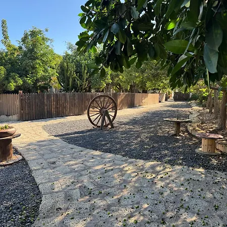 Casa Mercedes * El Río