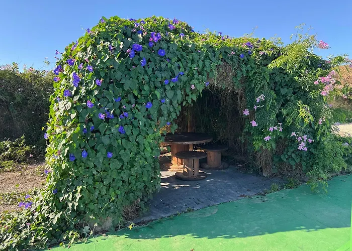 Casa Mercedes 펜션 *